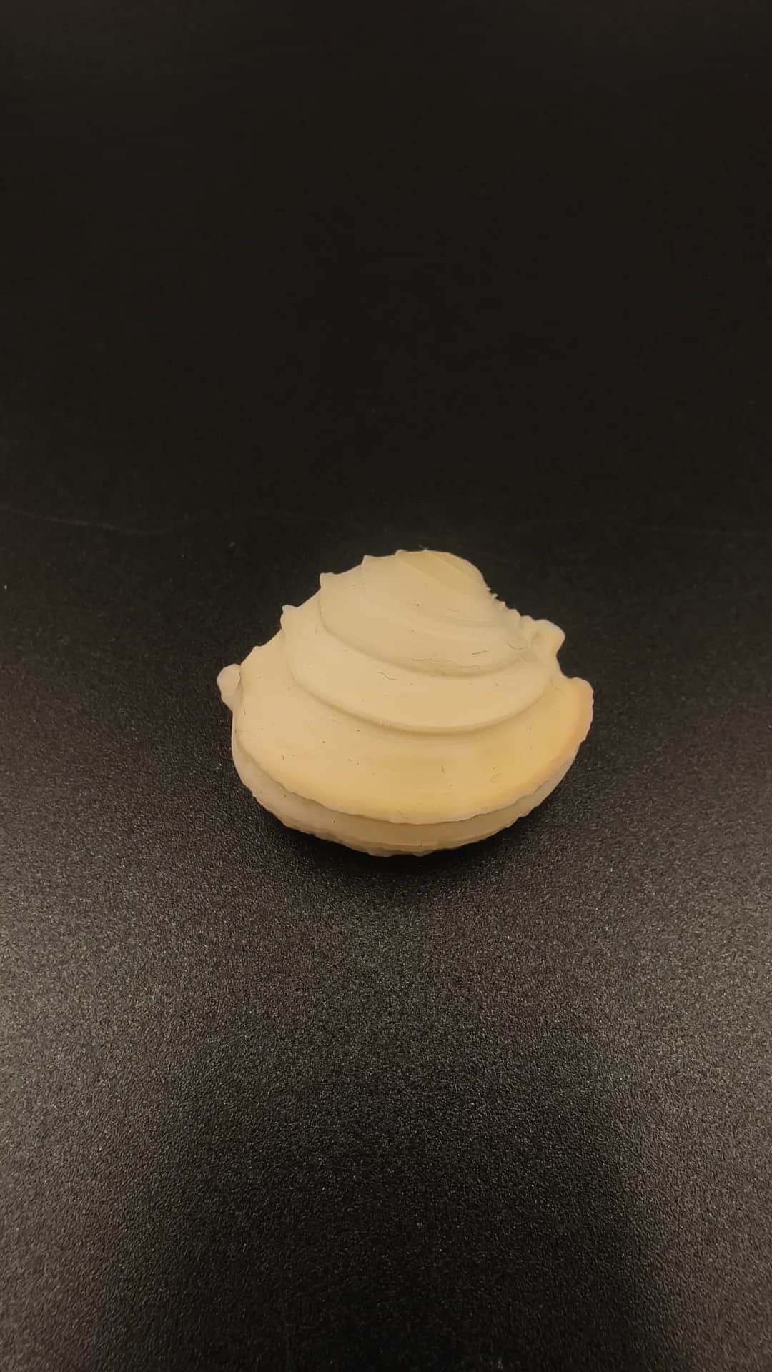 木雕蛋糕簾蛤 貝殼標本