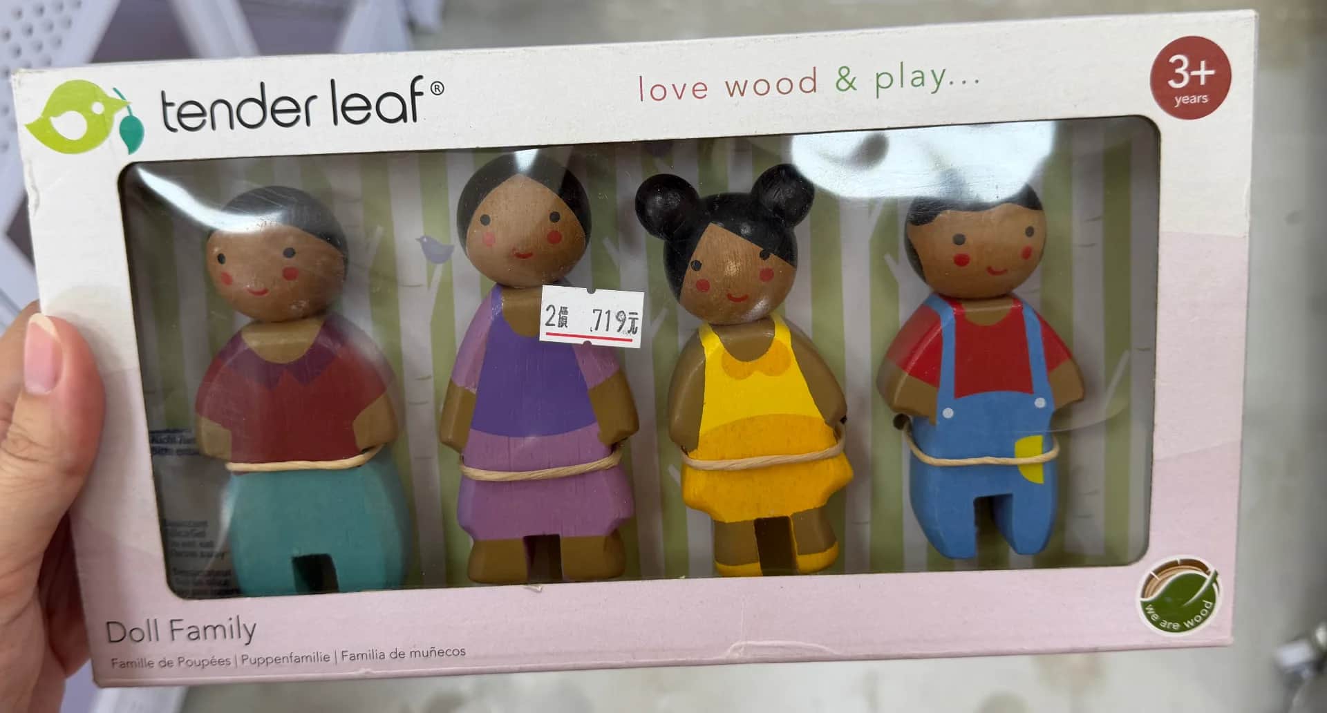 Tender Leaf Toys 木質娃娃家庭組